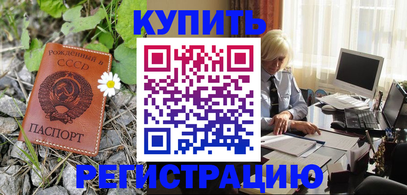 временная регистрация недорого в Дубне